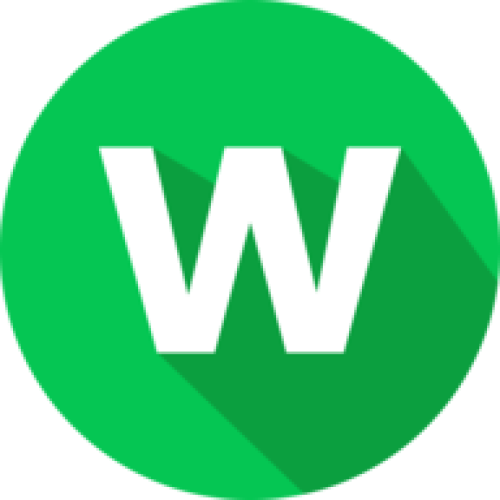 WebsiteAudit.com